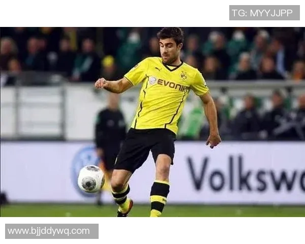 多特蒙德或迎来新东家重磅转会或将引发大变动 多特蒙德或迎来新东家重磅转会或将引发大变动